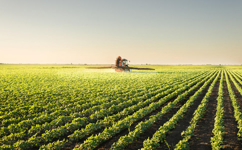 農(nóng)業(yè)行業(yè)獵頭的服務(wù)標(biāo)準(zhǔn)是什么？ 